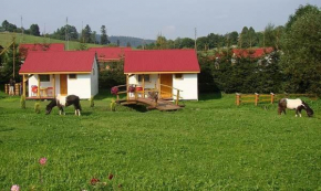 Domek nr8, Zawóz